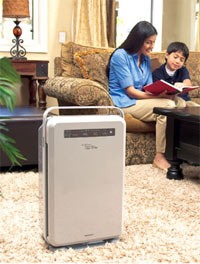 Air Filtration System