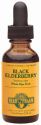 Black Elderberry