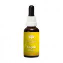 Focus Combination Essence(Formerly Cognis)