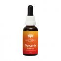 Dynamis Combination Essence