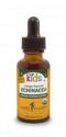 Kid's Echinacea