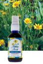 Arnica Allay