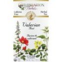 Valerian Root Tea